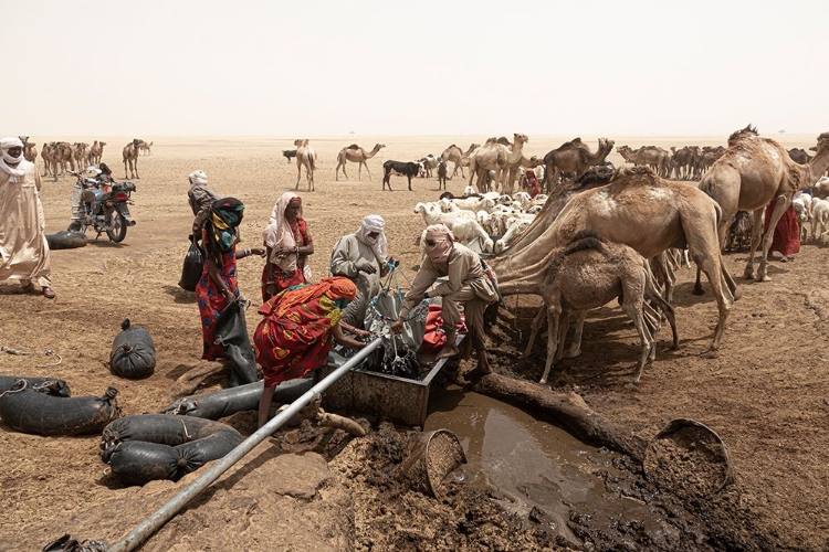 Picture of SO MUCH ACTIVITY AROUND THE WELL AT BORKOU DESERT-TCHAD