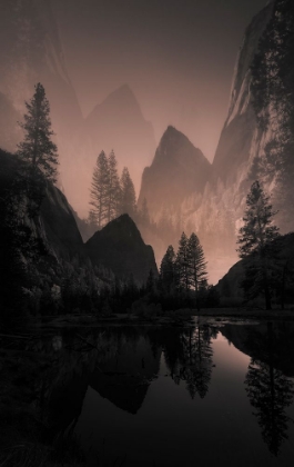 Picture of FOGGY MOUNTAIN
