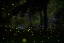 Picture of AMAZING FIREFLIES LIGHT