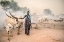 Picture of MUNDARI WOMAN HERDER