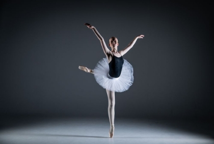 Picture of BALLET DANCER