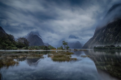 Picture of BLUE HOUR MILFORD SOUND