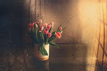 Picture of TULIPS IN THE ROOM