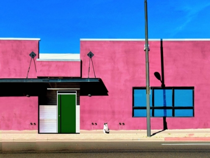 Picture of FACADE - JOSHUA TREE-CALIFORNIA