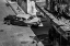 Picture of HABANA STREET