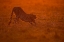 Picture of RELAX AT DAWN