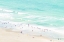 Picture of SUMMERTIME
