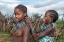 Picture of DAILY LIFE IN AN ARBORE VILLAGE