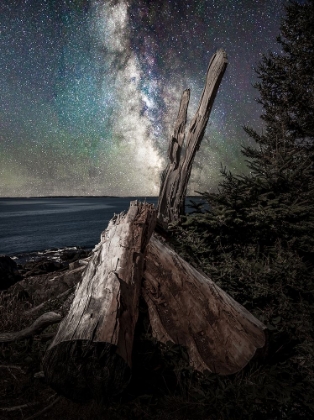 Picture of MILKY WAY COAST