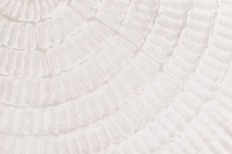 Picture of TEXTURE 06