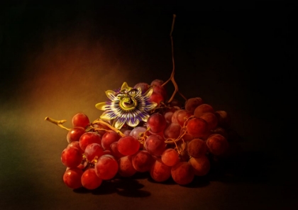 Picture of RED GRAPES AND PASSION FLOWER