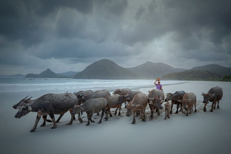 Picture of SELONG BELANAK BEACH