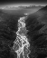 Picture of UNTITLED