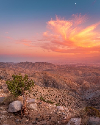 Picture of DESERT SUNSET