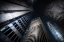 Picture of SHINJUKU-4
