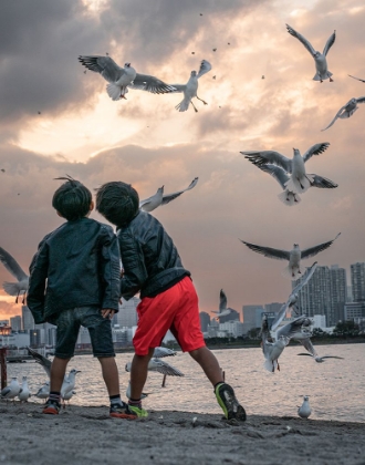 Picture of TOKYO BAY AREA