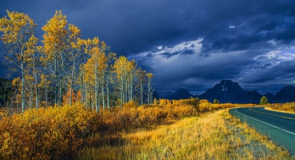 Picture of FALL COLORS BEFORE A STORM