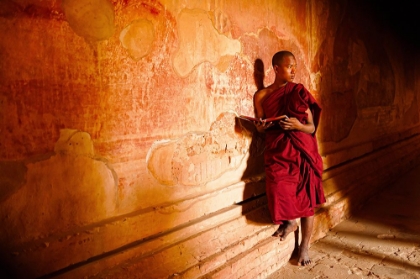 Picture of A MONK IN THE MONASTERY