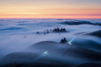 Picture of FOG ON MT TAMALPAIS