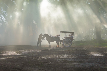 Picture of RAW OF LIGHT