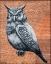 Picture of TAG OWL HASSELT