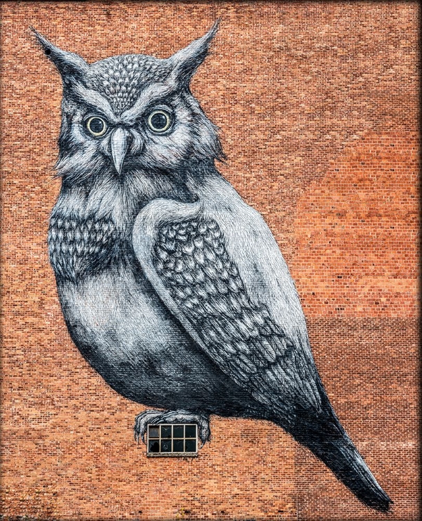 Picture of TAG OWL HASSELT