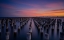 Picture of PRINCES PIER