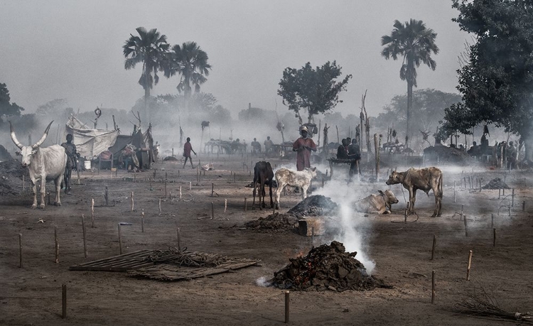 Picture of LIFE IN A MUNDARI CATTLE CAMP - SOUTH SUDAN