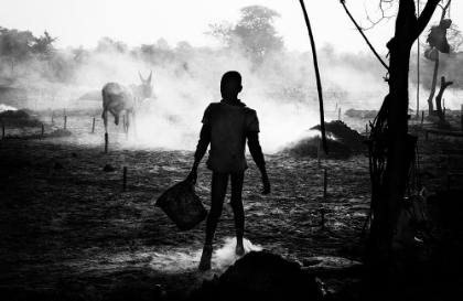 Picture of A SCENE OF LIFE IN A MUNDARI CATTLE CAMP - SOUTH SUDAN