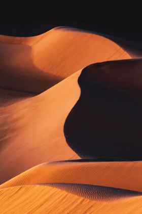 Picture of SAND DUNES UNDER THE MORNING SUN