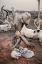 Picture of A MUNDARI MAN IN SITU