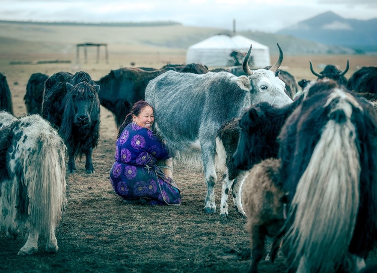 Picture of HAPPY MILKING