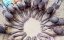 Picture of LITTLE FINGERS