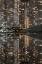 Picture of MIRROR WORLD