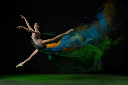 Picture of THE BALLERINA