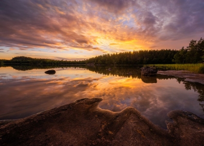 Picture of FOREST LAKE