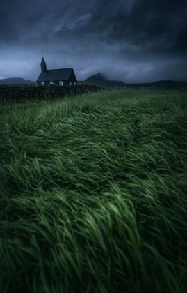 Picture of LONELY IN THE STORM