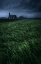 Picture of LONELY IN THE STORM