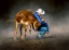 Picture of WRESTLING DOWN
