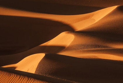 Picture of THE SAND DUNE LADDER