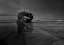 Picture of THE WRECK OF THE PETER IREDALE