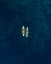 Picture of CANOES