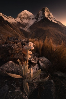 Picture of NEVADO HUASCARAN