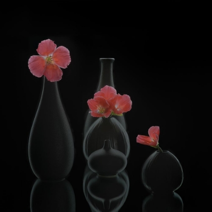 Picture of STILL LIFE 46