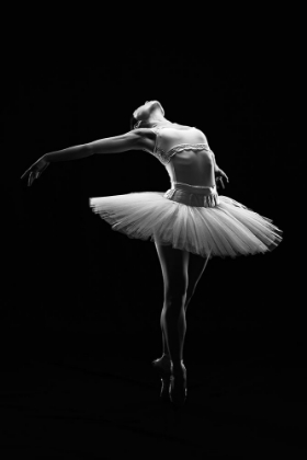 Picture of BALLET IN THE DARK