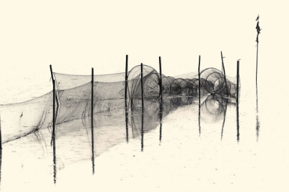 Picture of FISH TRAP BW
