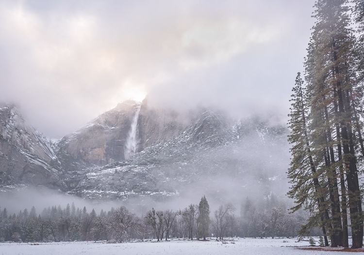 Picture of YOSEMITE FALLS