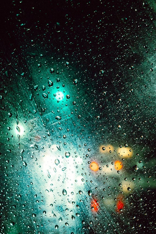 Picture of RAINYDAY