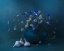 Picture of BLUE AND WHITE