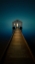 Picture of LITTLE BLUE BOATHOUSE IN PERTH